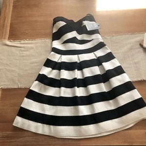 Express cocktail dress